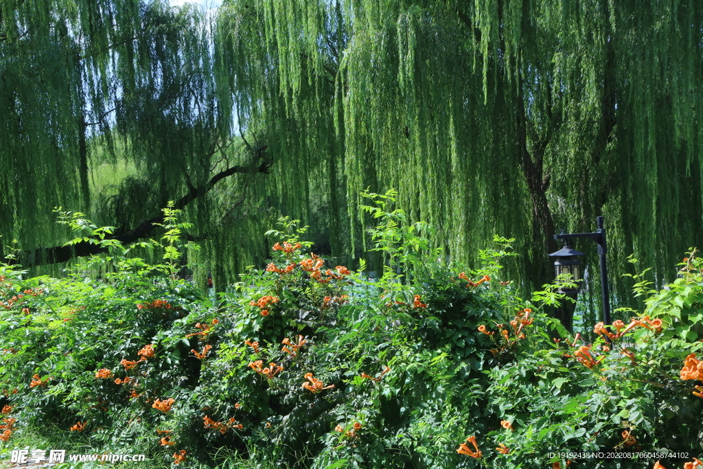 公园风景 