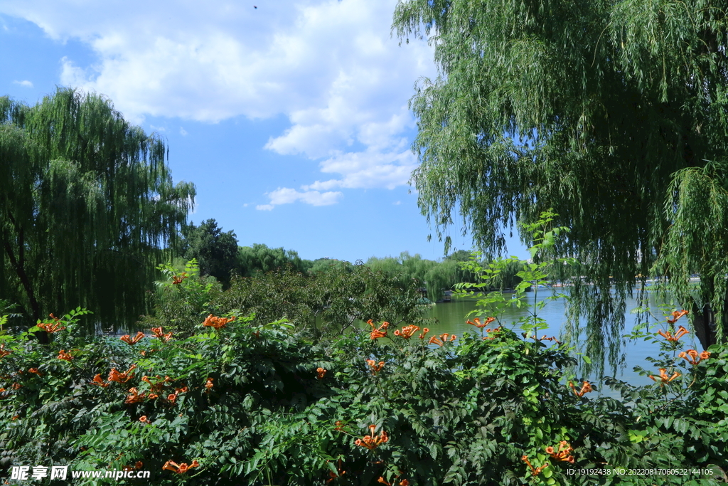 公园风景
