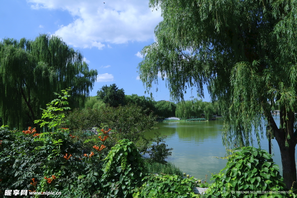 公园风景