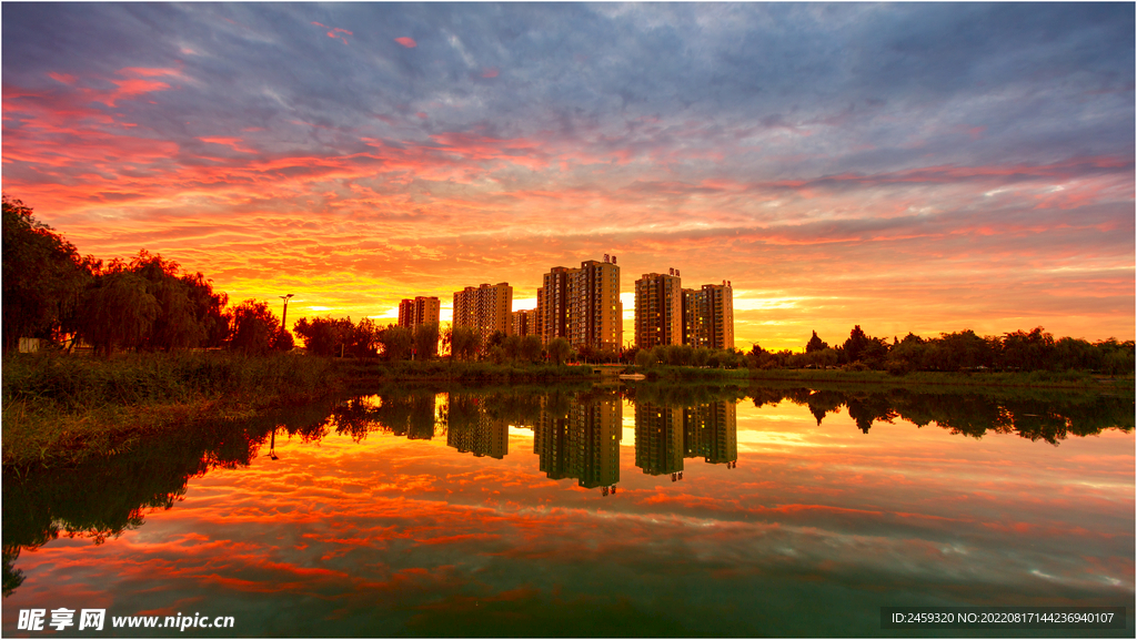 夕阳   湿地