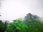 山