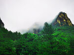 山