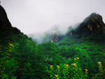 山