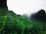 山