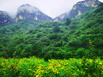 山