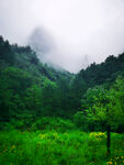 山