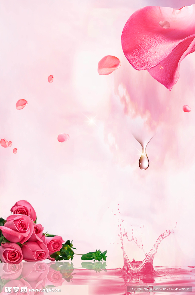 粉色浪漫玫瑰系列背景
