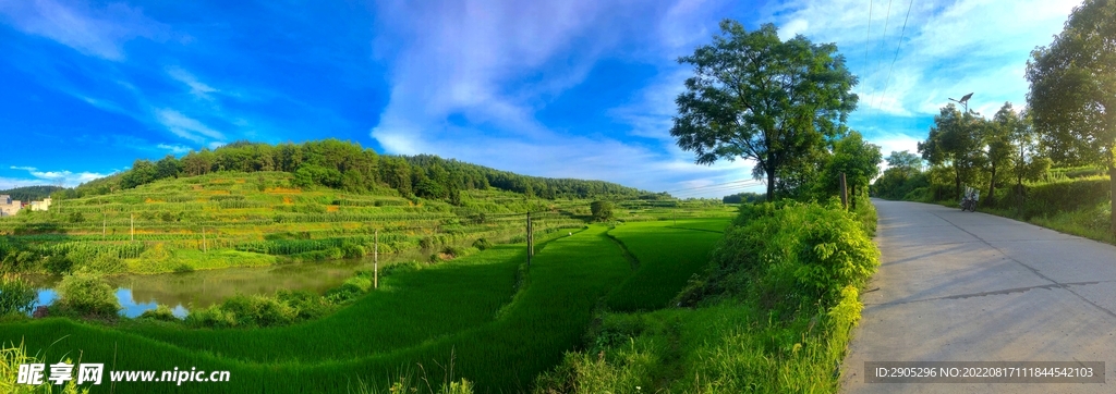 自然风光农村道路