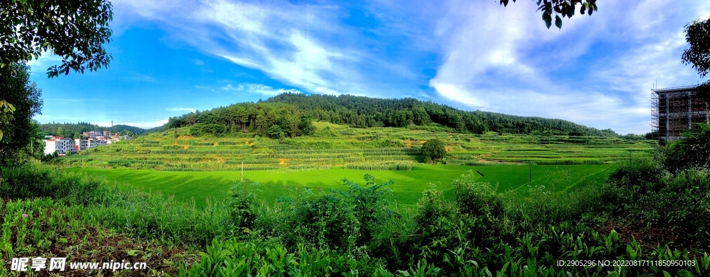 蓝天白云乡村农田风景