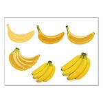 香蕉插画插图
