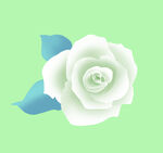 手绘花朵