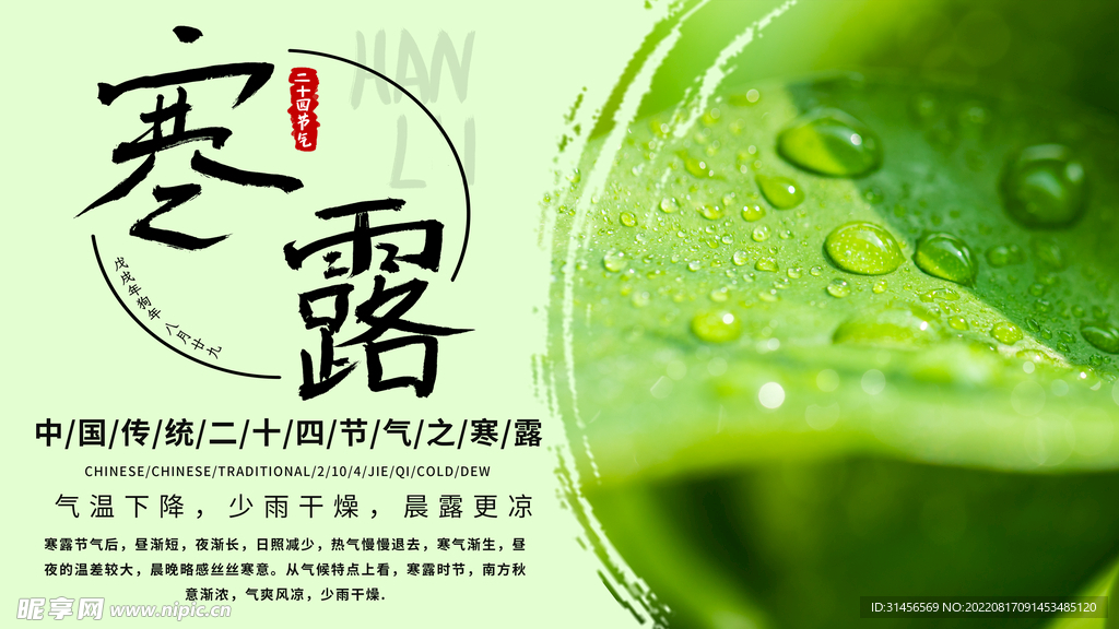 寒露