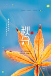 秋分