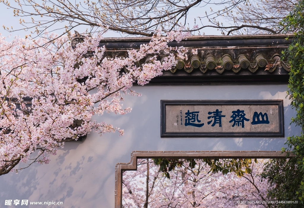 桃花