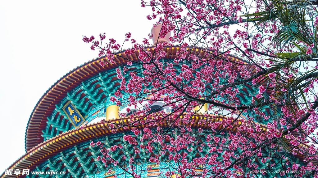 桃花