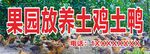 果园放养土鸡土鸭招牌
