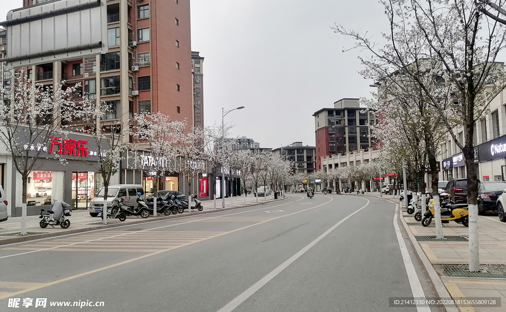 樱花路道路店面风景