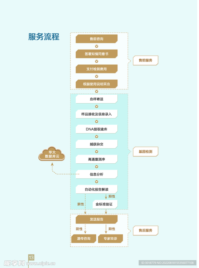 基因检测