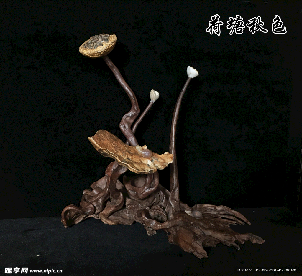 荷塘秋色