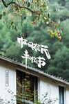 丰收