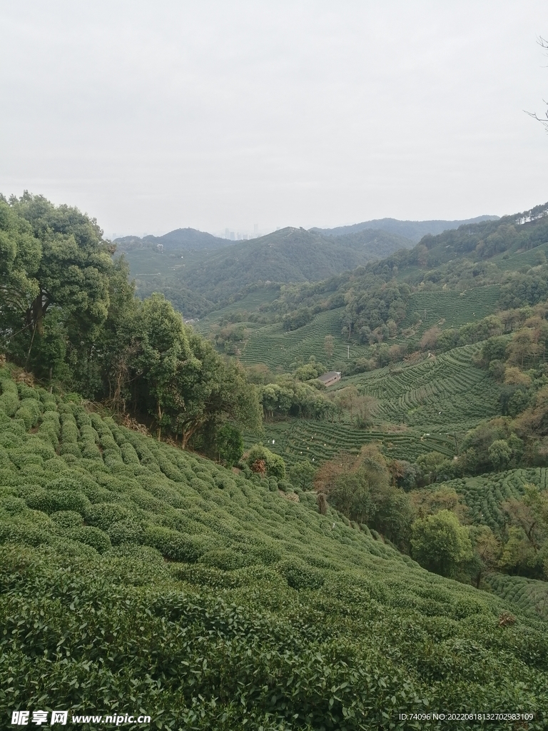 狮峰山
