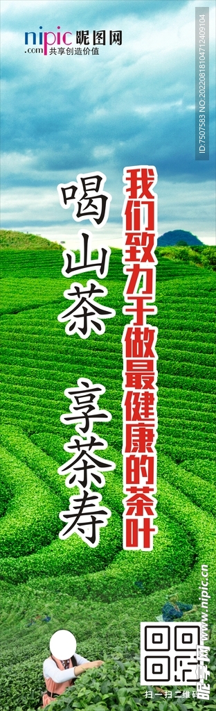 山茶