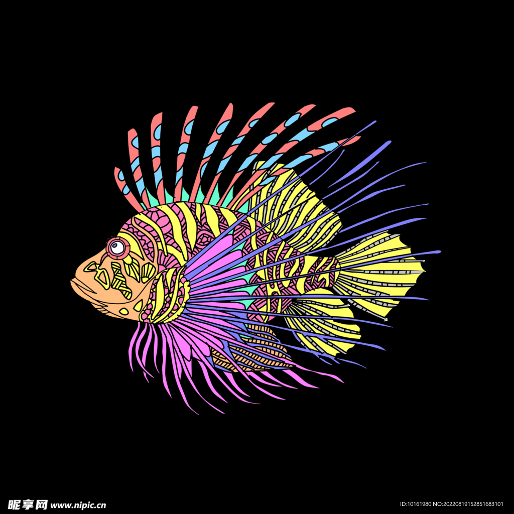 彩色鱼PNG