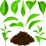 ai矢量茶叶元素