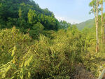 自然景观  