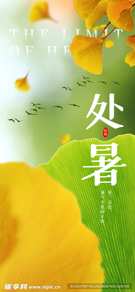处暑落叶海报