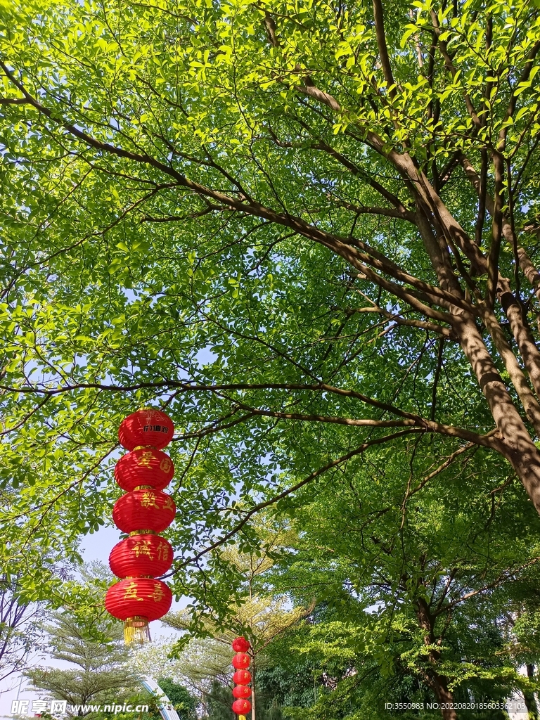 自然 风景