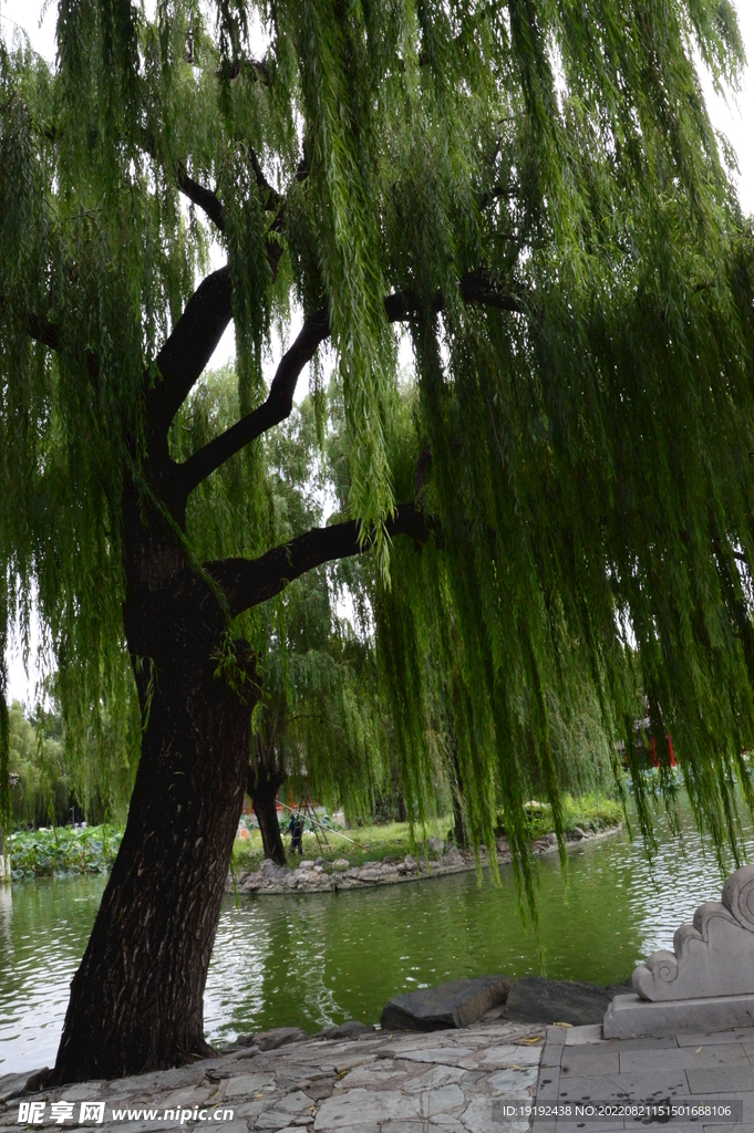 公园风景