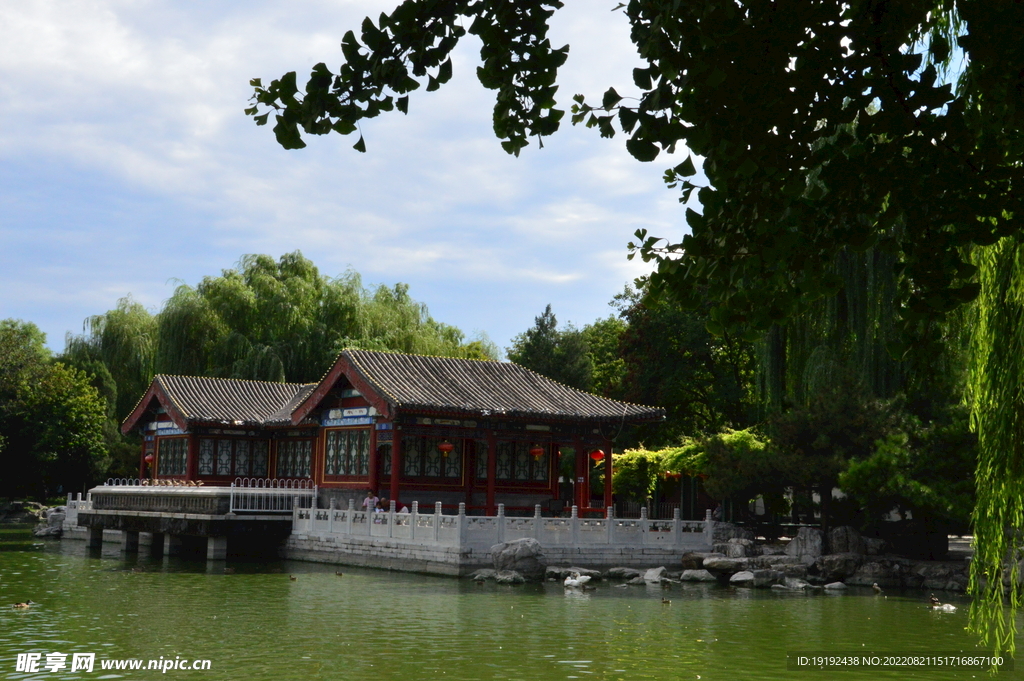公园风景 