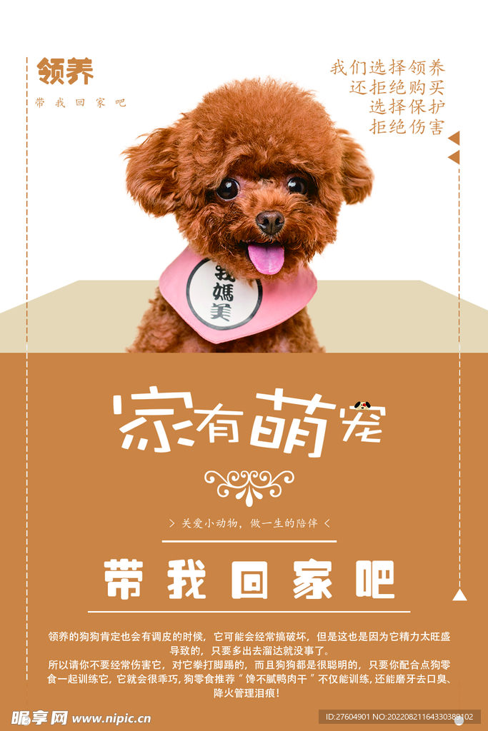 宠物