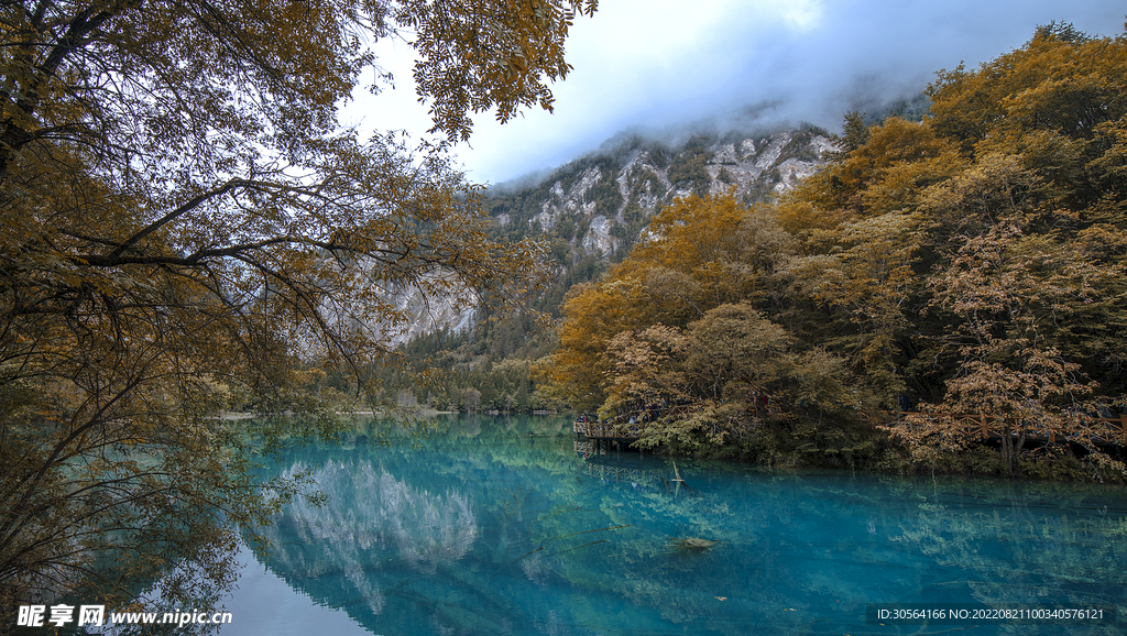 湖水湖面森林