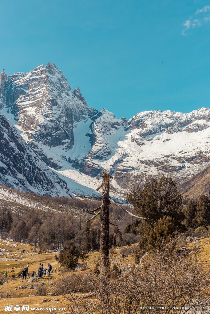 雪山山脉草地