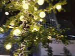 夜幕灯光