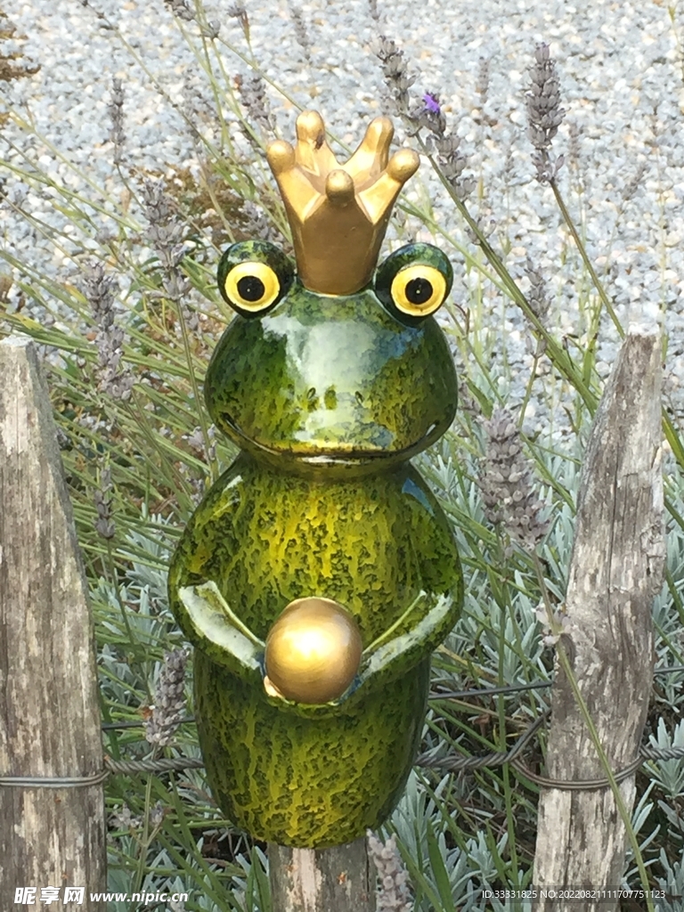 卡通青蛙