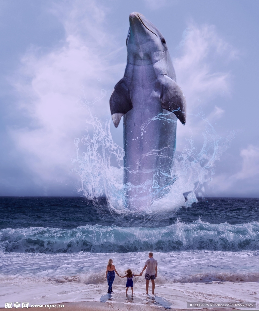 海豚