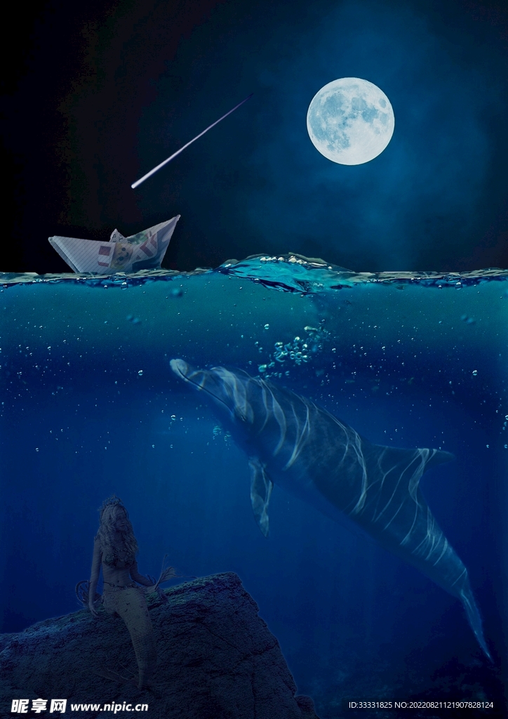 海豚