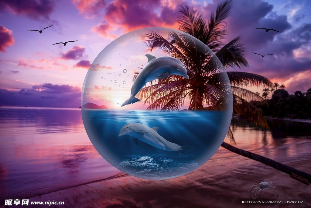 海豚