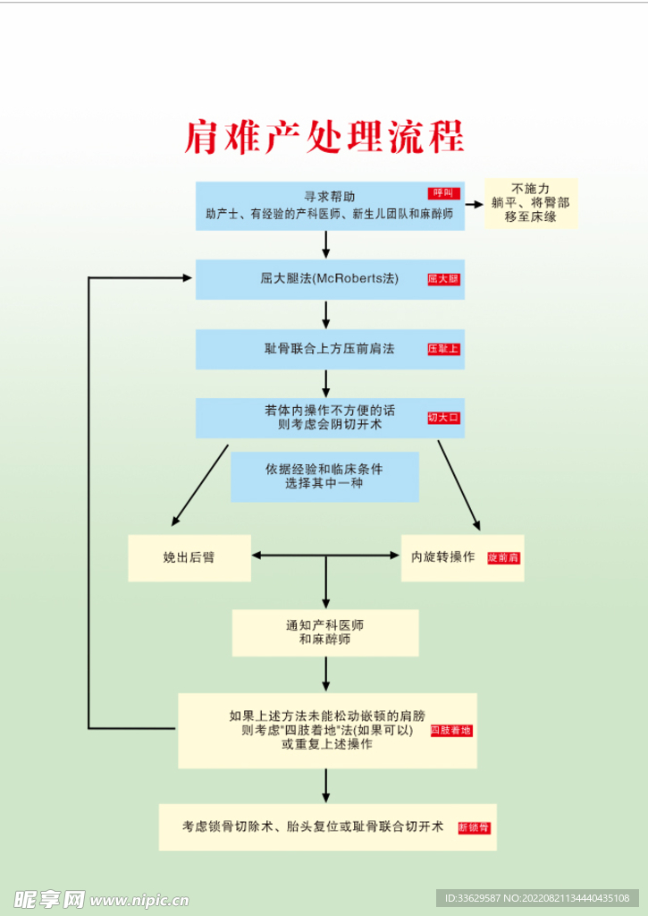 肩难产处理流程