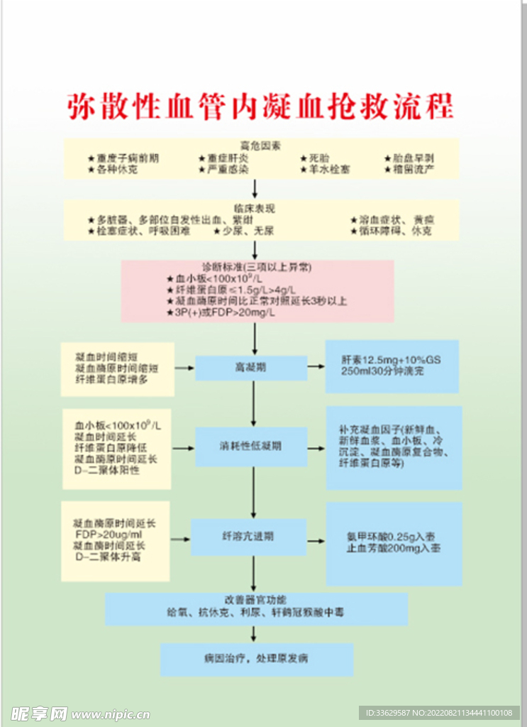 弥散性血管内凝血抢救流程