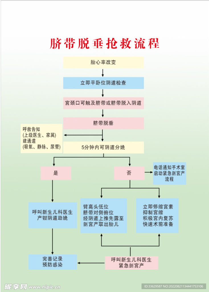 脐带脱垂抢救流程