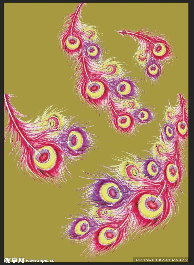 羽毛