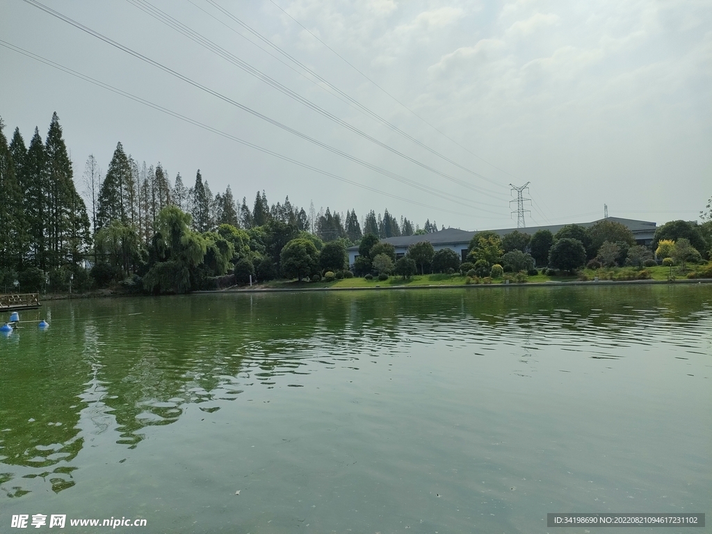 平静的湖水