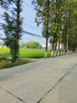 小路