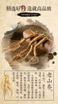 中药成分人参
