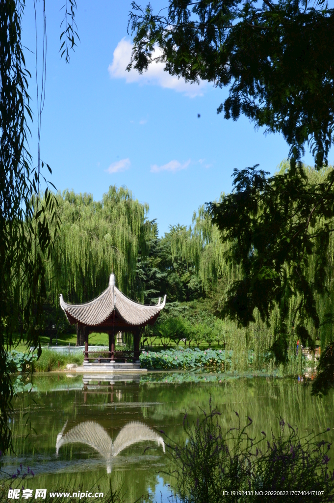 公园风景