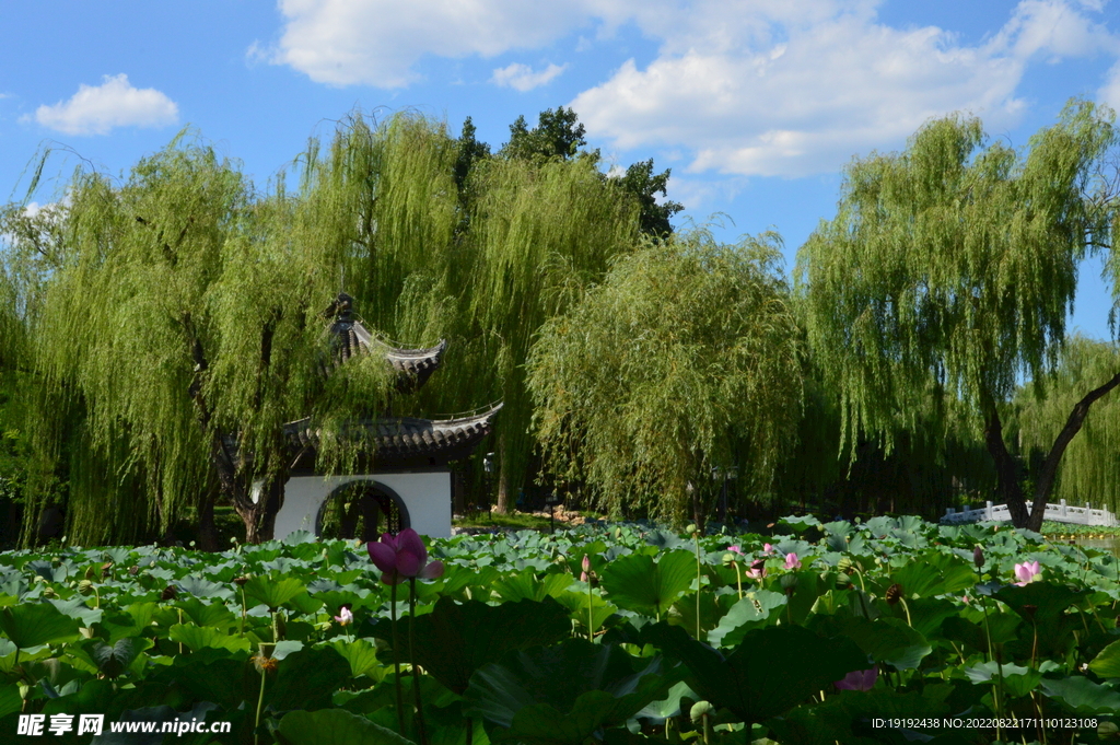 公园风景 